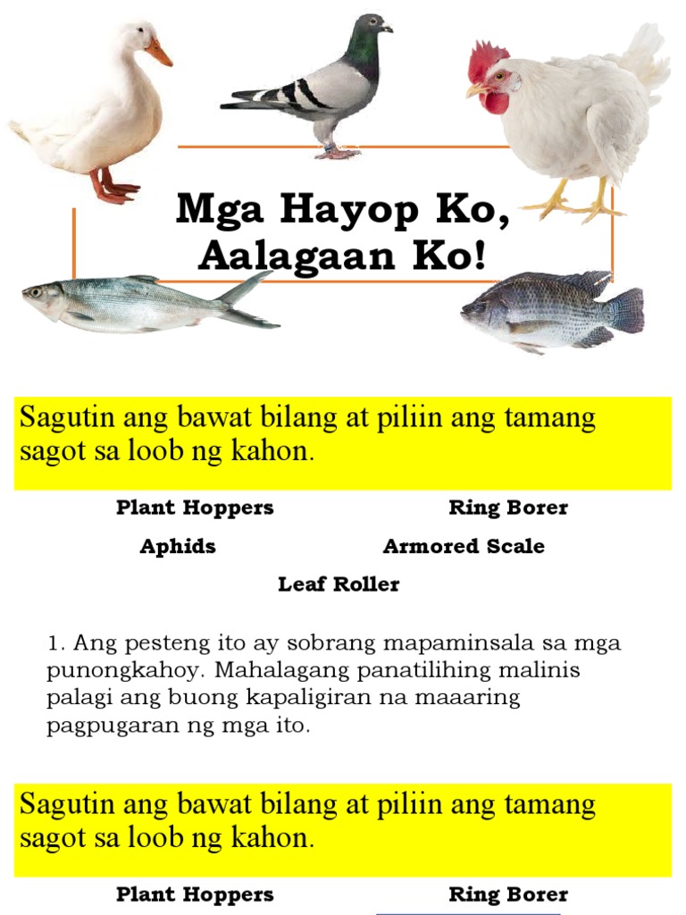 Ragozina Natalya porno