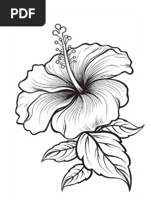 Bunga Raya Drawing Simple