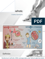 Sdr. Nephrotic