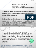 Levels of Organization Powerpoint