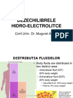 Curs Hidro Electrolitic 2022