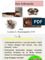 Animalia 7 Filum Arthropoda