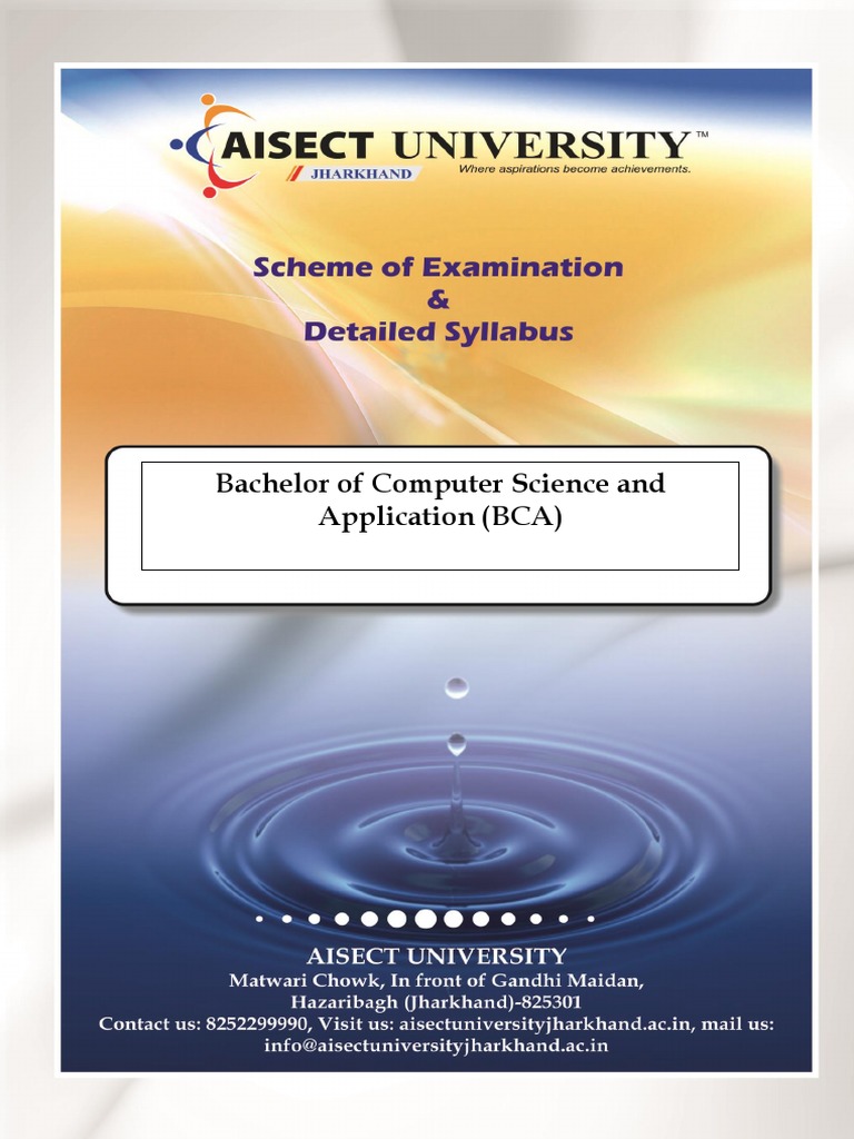 BCA Course Structure and Objectives | PDF | Microsoft Word | Computer ...