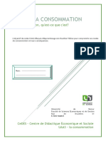 UAA1 LaConsommation Prof