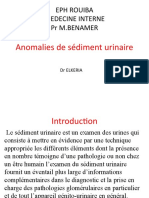 Anomalies de Sédimet Urinaire