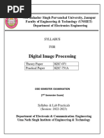 Digital Image Processing File