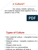 Culture As A Complex Whole