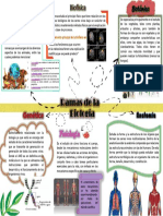 Rama de La Biologia