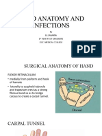 Hand Anatomy and Infections New