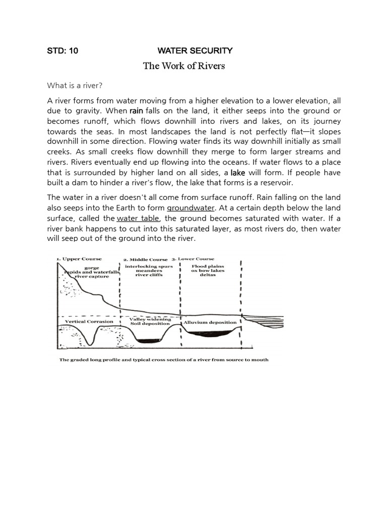 Understanding River Systems and Ecosystems | PDF