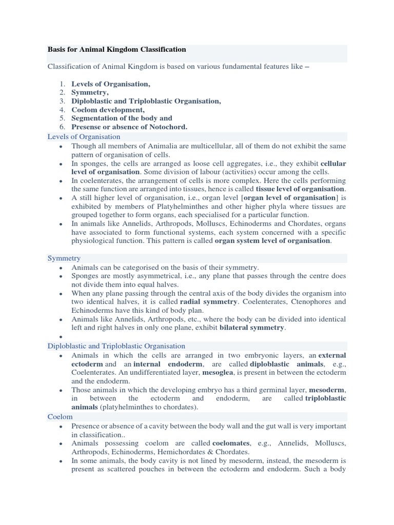 Animal Kingdom Classification PDF Vertebrates Sponge