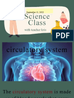 Circulatory System