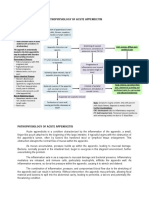 Pathophysiology of Acute Appendicitis