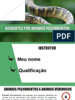 Treinamento para Acidentes Por Animais Peçonhentos