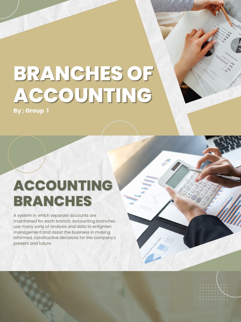Branches of Accounting PDF