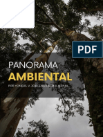 Panorama Ambiental - Modelo de Una Revista Universitaria