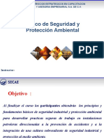 Basico Seguridad Proteccion Ambiental