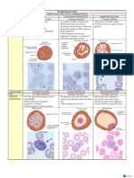 PLASMODIUM SPECIES