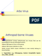 A Rbo Viruses