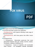 Pox Virus