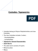 Cestodes Tapeworms