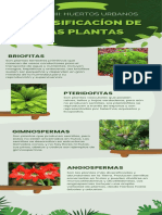 Clasificación de Las Plantas-Infografía