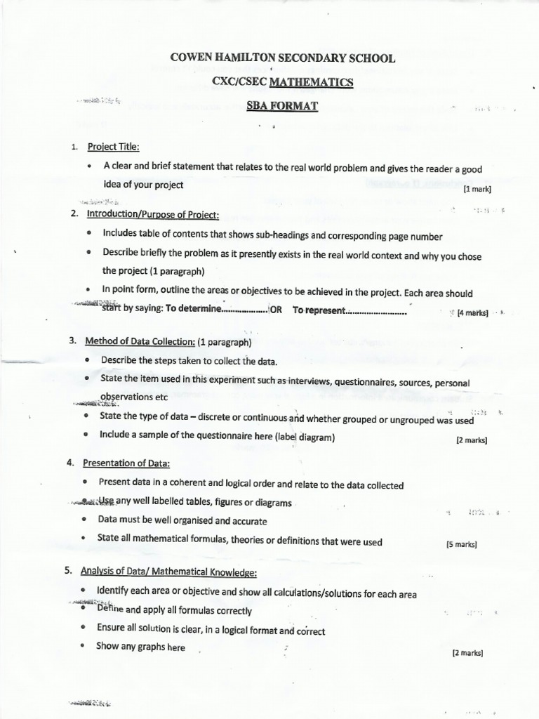 SBA Format | PDF