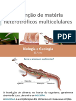 4.2 Obtenção de Matéria - Digestoes