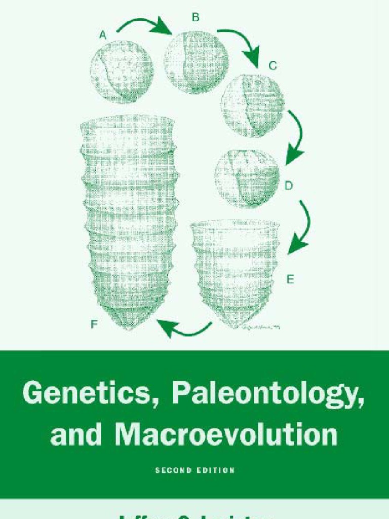 Paleontology, And Macro Evolution Reductionism Evolution