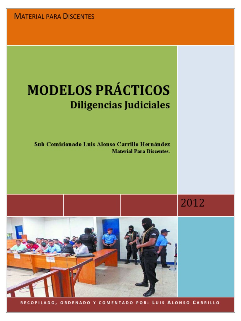 manual-practico-del-cpp-practica-penal-pdf