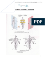 Anatomia Cabeça e Pescoço - Atlas