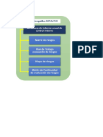 Formato Matrices SINACIG