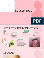 Fisiología Materna