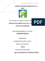 Proyecto de Inversión - ZOE Y ALINA PDF