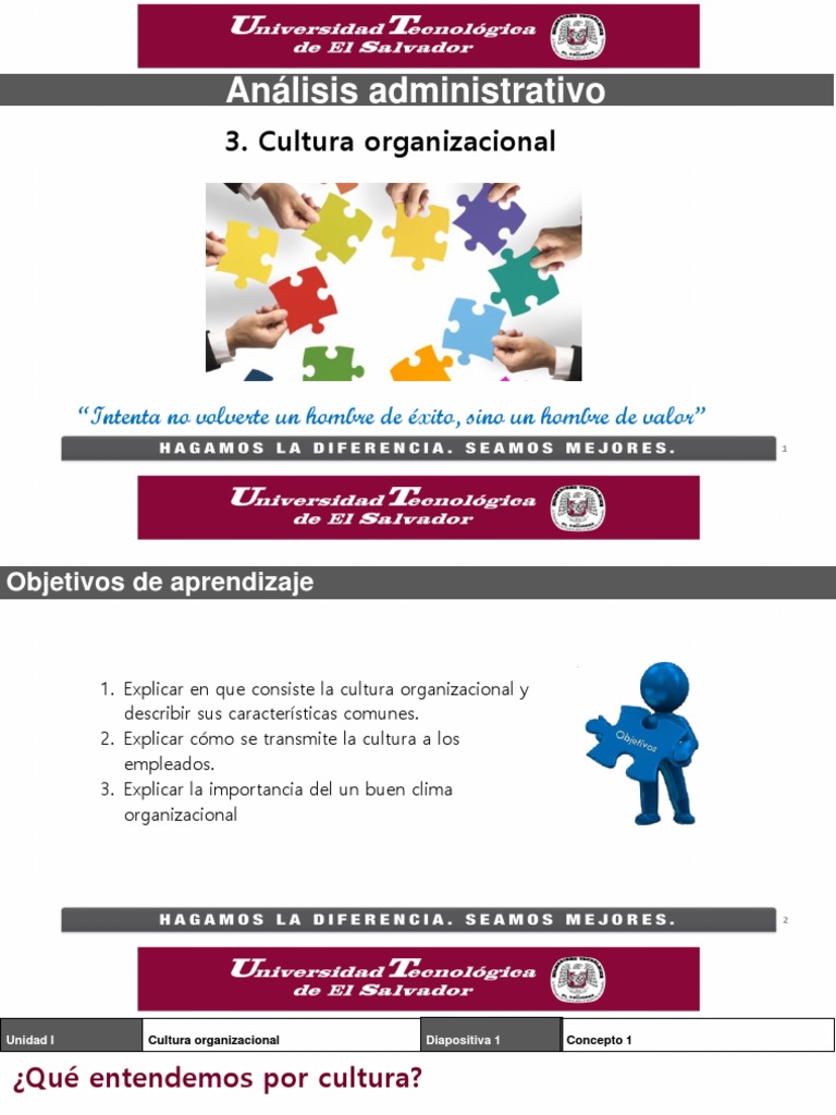 Resumen de Cultura Organizacional | PDF | Cultura organizacional