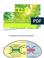 Tema 4-3 Fot Bioquimica Con Notas