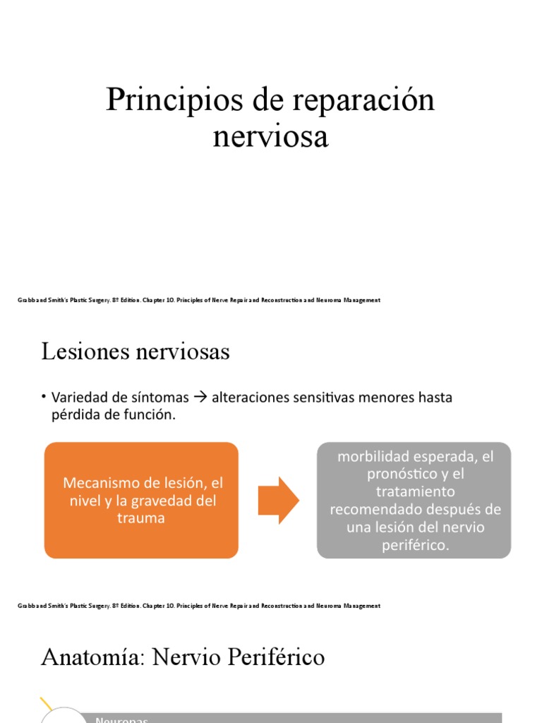 Principios de Neurorrafia y Bandas de Büngner | PDF | Mielina | Axon