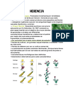 Unidad 11 - Biologiaa