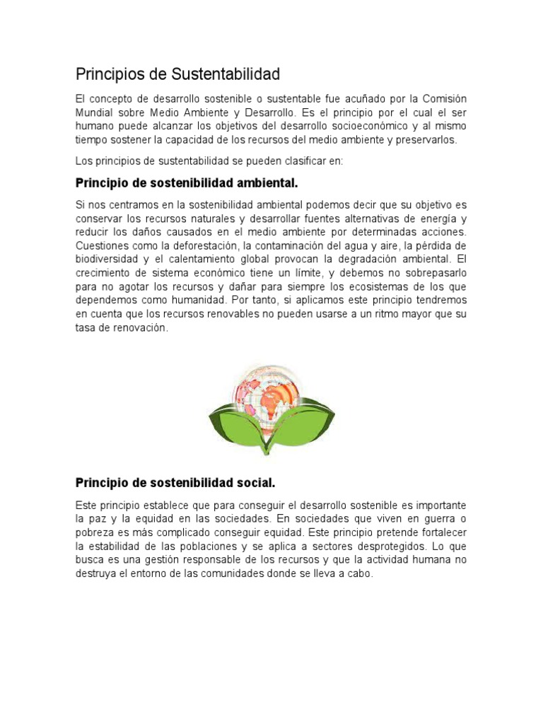 Principios de la Sustentabilidad Explicados | PDF