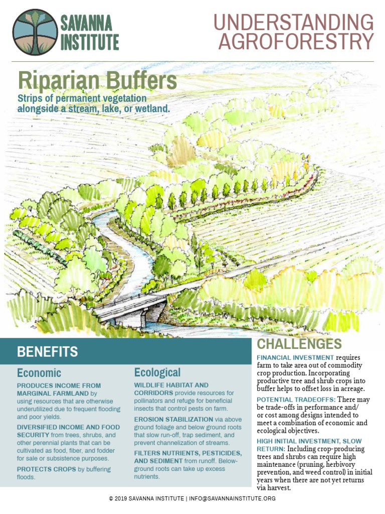 Riparian Buffers: Benefits & Practices | PDF | Riparian Zone ...