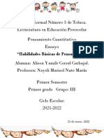 Ensayo. Habilidades Básicas de Pensamiento.22