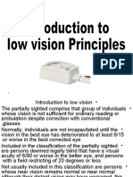 Low Vision Principles