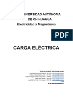 Carga Electrica