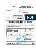 Modelo de Comprobante de Entrega Testimonio Especial