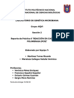 Reporte de Práctica de "Reacción en Cadena de La Polimerasa (PCR) " Genética Microbiana