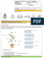 2° Las Plantas