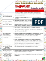 Organizador de Contenidos y PDA - SEGUNDO GRADO