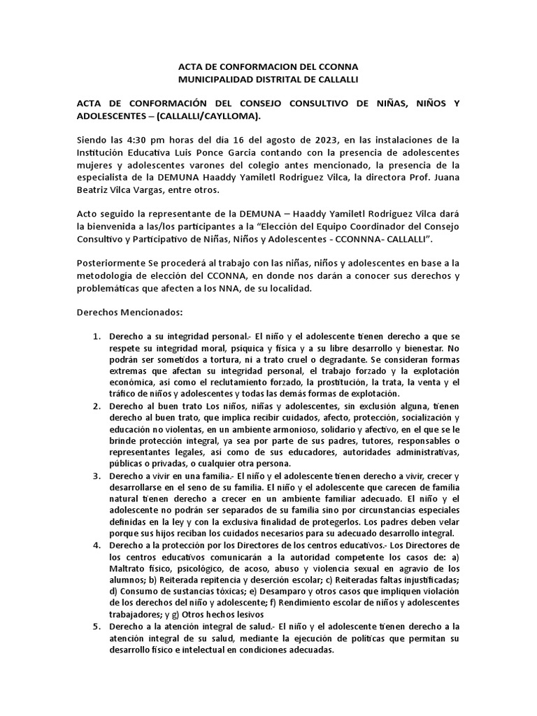 acta-de-conformacion-del-cconna-pdf-abuso-infantil-instituciones