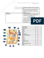 Semiologia Practica