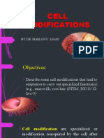 Cell Modifications